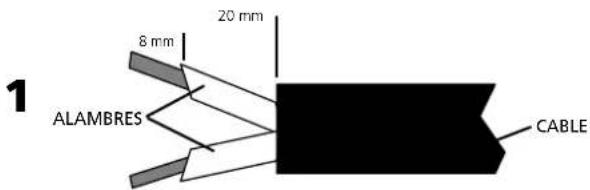 Montarbo W440P - Cableado del cable de conexión sobre el conector Speakon®: - 1