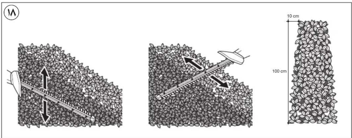 10 cm 100 cm