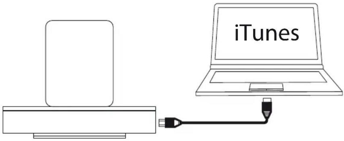 LOEWE SoundPort Mini - SoundPort - iTunes Sync - 1