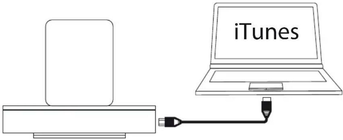 LOEWE SoundPort Mini - SoundPort - iTunes Sync - 1