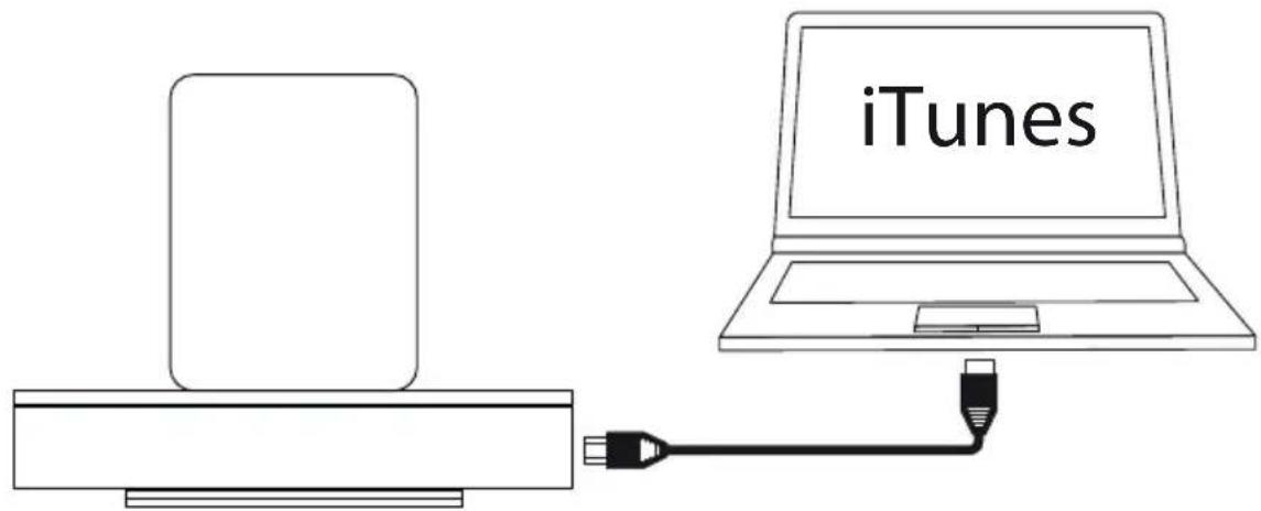 LOEWE SoundPort Mini - SoundPort - iTunes Sync - 1