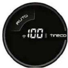 AUTO 100 tneco