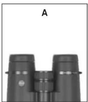 LEICA Ultravid 10x50 HD-Plus - Scala diottrica - 2