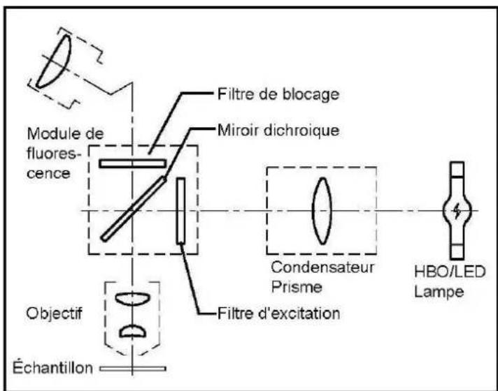 Kern OBL 125 - Principe - 1