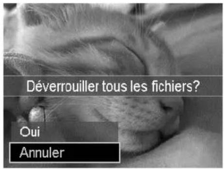 Déverrouiller tous les fichiers? Oui Annuler