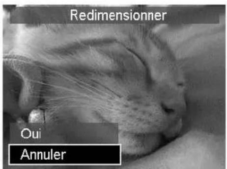 Redimensionner Oui Annuler