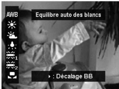AWB Equilibre auto des blancs ► : Décalage BB