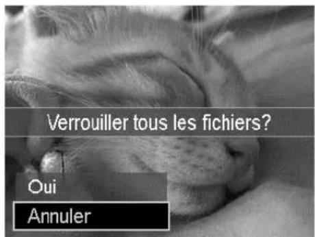 Verrouiller tous les fichiers? Oui Annuler