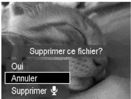 Supprimer ce fichier? Oui Annuler Supprimer