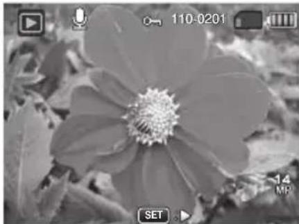 ROLLEI Powerflex 440 - Lire un mémo audio - 1