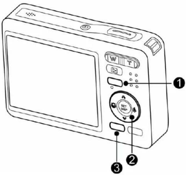 ROLLEI RCP-8325 - 5 - 1