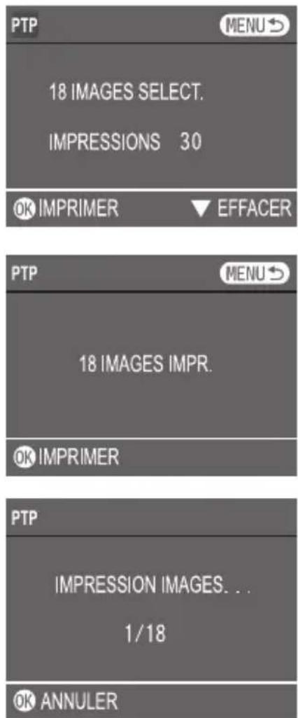 ROLLEI RCP-10325X - ■ Utilisation de PictBridge - 3