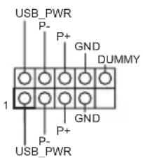 USB_PWR P- P+ GND DUMMY 1 GND P+ P- USB_PWR