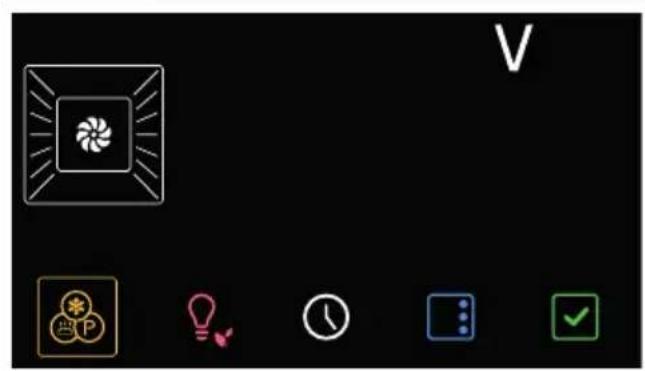V