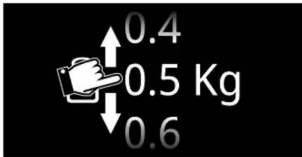 0.4 0.5 Kg 0.6