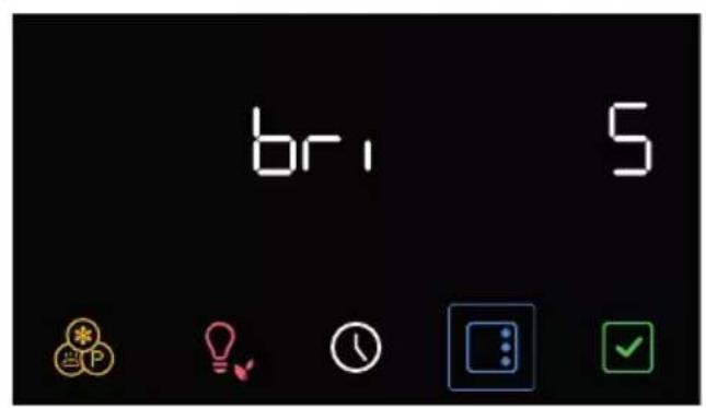 bri 5