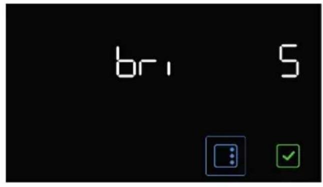 bri 5