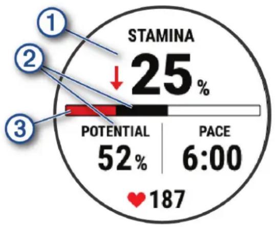 GARMIN fēnix 7X Pro - Affichage de votre Stamina en temps réel - 1
