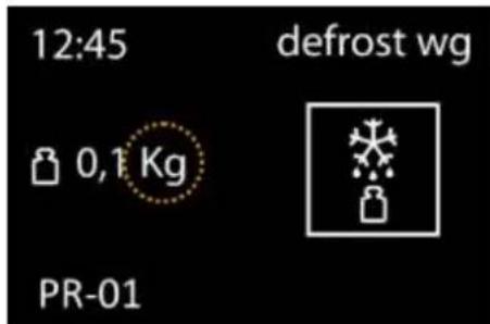 12:45 defrost wg 0,1 Kg PR-01