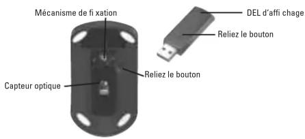 Mécanisme de fixation Capteur optique DEL d'affi chage Reliez le bouton Reliez le bouton