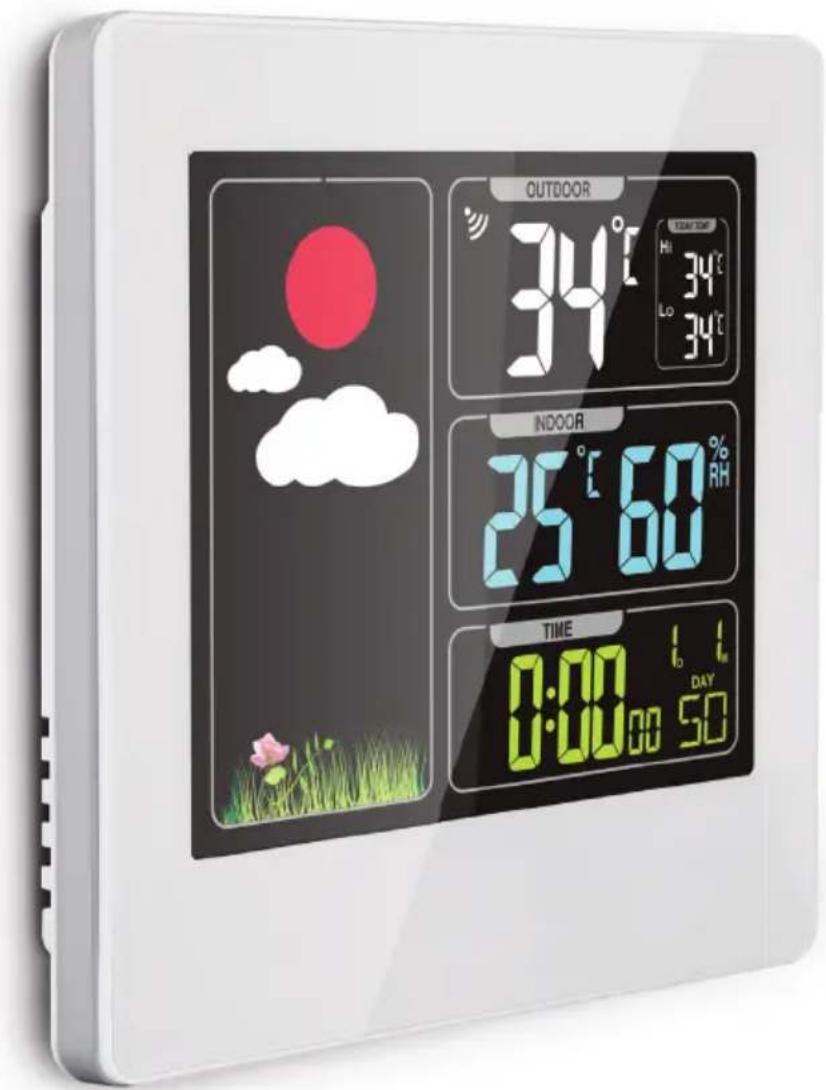 THOMSON 513630 - ES Estación meteorológica inalámbrica - 6