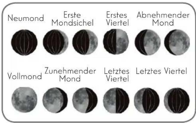 Neumond Erste Mondsichel Erstes Viertel Abnehmender Mond Vollmond Zunehmender Mond Letztes Viertel Letztes Viertel