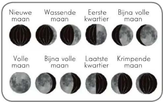Nieuwe maan Wassende maan Eerste kwartier Bijna volle maan Volle maan Bijna volle maan Laatste kwartier Krimpende maan