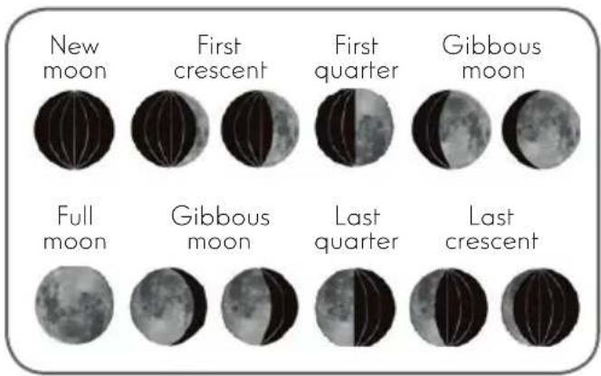 THOMSON 513631 - MOON PHASE - 1