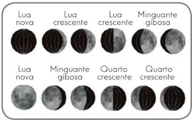 Lua nova Lua crescente Lua crescente Minguante gibosa Lua nova Minguante gibosa Quarto crescente Quarto crescente