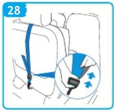 Foppapedretti Circle i-Size - 30