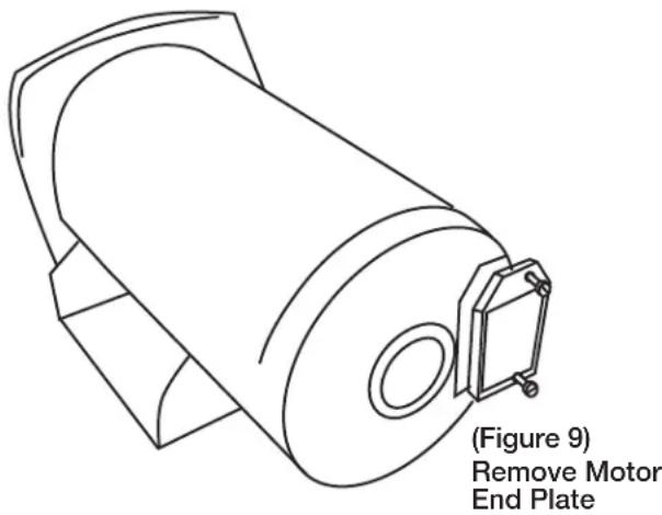 (Figure 9) Remove Motor End Plate