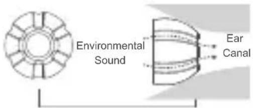 Environmental Sound Ear Canal