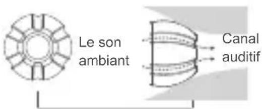 Le son ambient Canal auditif