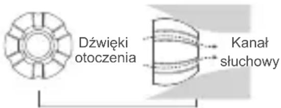 Dźȩcki otoczenia Kanał słuchowy