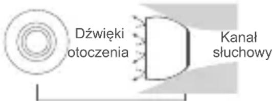 Dźȩcki otoczenia Kanał słuchowy