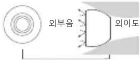 외부음 외이도