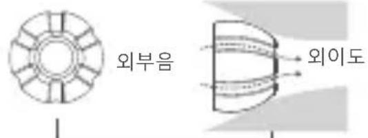 외부음 외이도