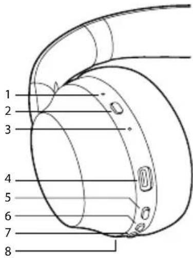 NGS Artica Shake - 1
