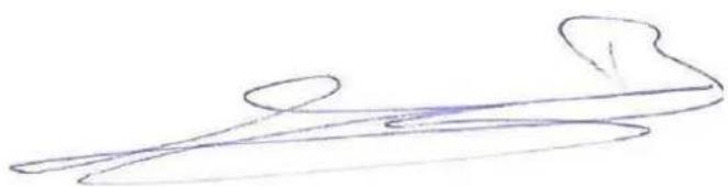 URBAN GLIDE RIDE 85s - Contact details of the person authorized to edit the technical document: - 1
