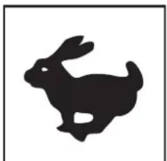 ALTRAD BELLE PCX 13/40 - B - Noise Decal (800-99942) - 1