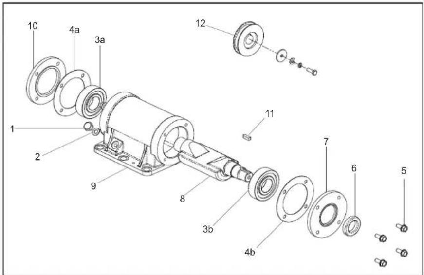 ALTRAD BELLE PCX 13/40 - Assembly Instructions for Vibrator - 1