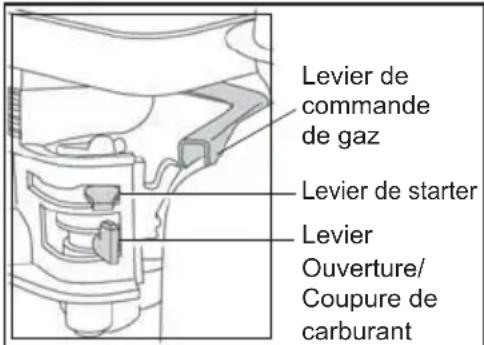 ALTRAD BELLE PCX 16/50 - Moteur à Essence Honda GX160 - 1