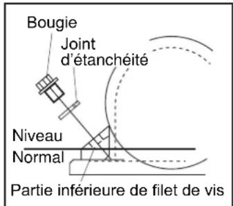 ALTRAD BELLE PCX 20/45 - Courroie d'entraînement - 1