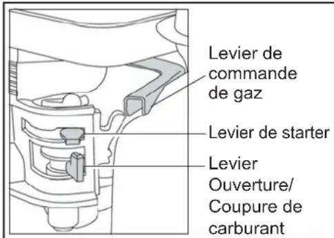 ALTRAD BELLE PCX 20/45 - Moteur à Essence Honda GX160 - 1