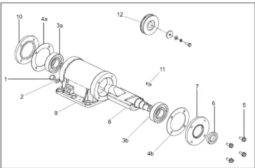 ALTRAD BELLE PCX 500 - Rüttler-Montageanleitung - 1