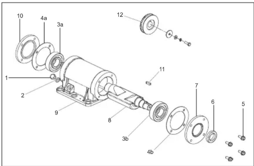 ALTRAD BELLE PCX 500 - Monteringsinstruktioner for vibrator - 1