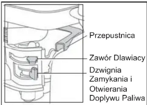 ALTRAD BELLE PCX 500 - Silnik benzynowy Honda - 1