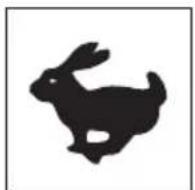 ALTRAD BELLE PCX 500 - C - Engine RPM Decal - 1