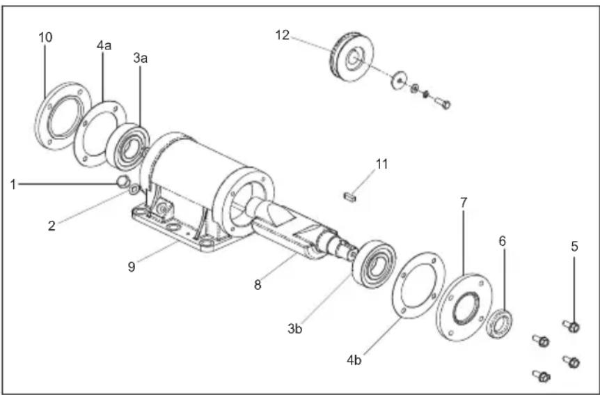ALTRAD BELLE PCX 500 - Instructies voor montage van trilelement - 1