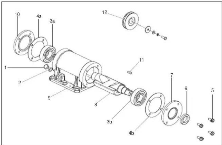 ALTRAD BELLE PCX 450 - Rüttler-Montageanleitung - 1